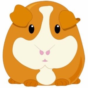 162790161_cute-cartoon-ginger-brown-guinea-pig-photo-sculptures