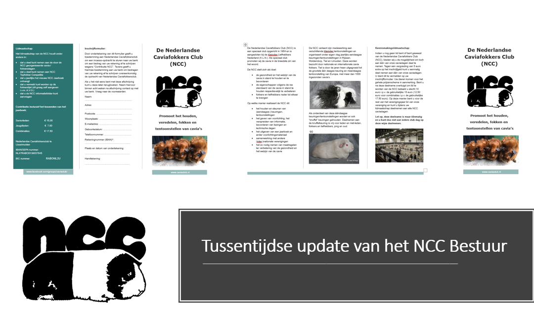 Tussentijdse update van het NCC Bestuur