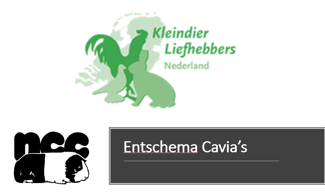 Entschema bij Cavia’s i.v.m. Kleindier Liefhebbers Nederland (KLN) bericht in Kleindier Magazine (KM)