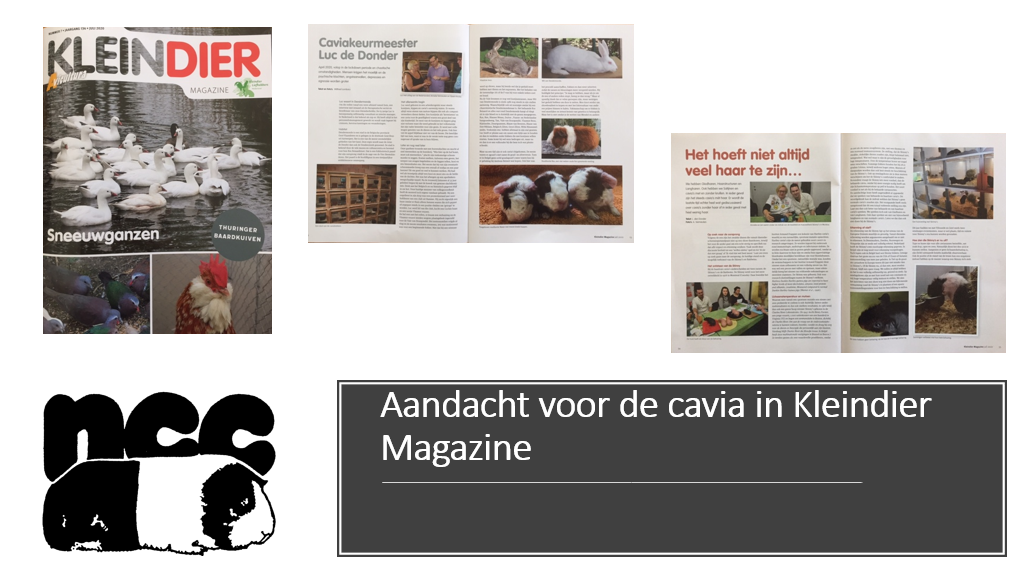 Aandacht voor de cavia in Kleindier Magazine