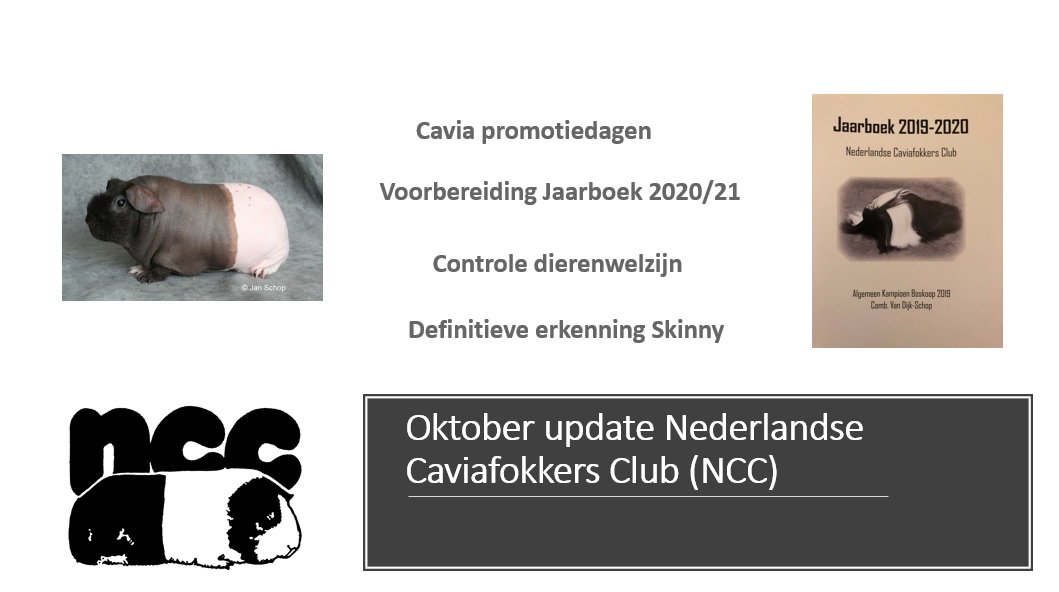 Oktober update NCC Bestuur