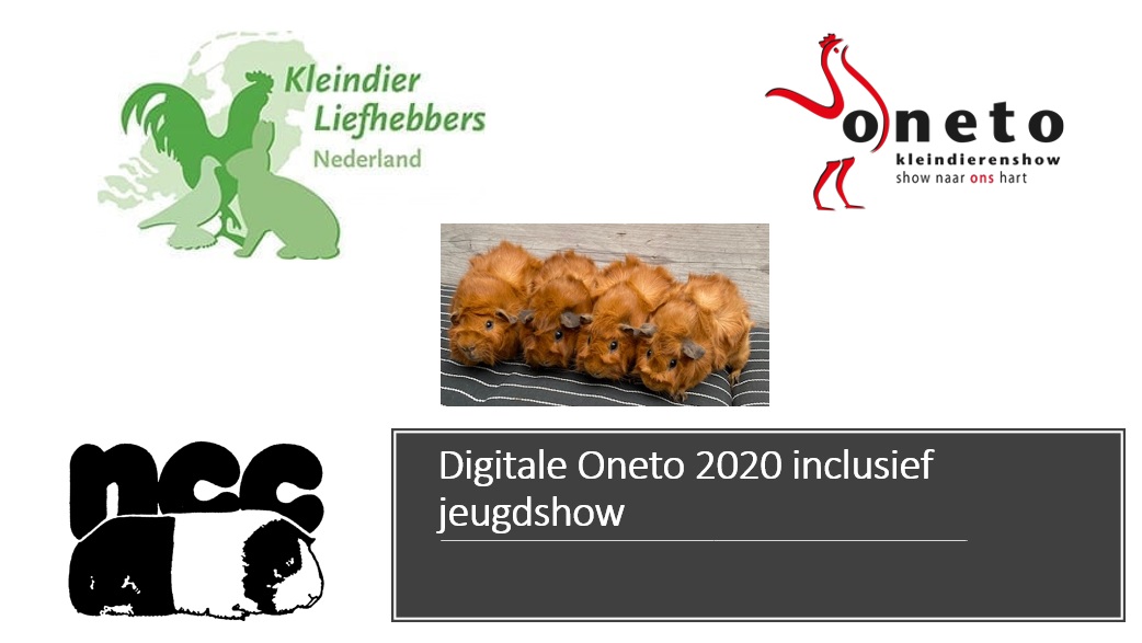 Digitale Oneto 2020 inclusief jeugdshow