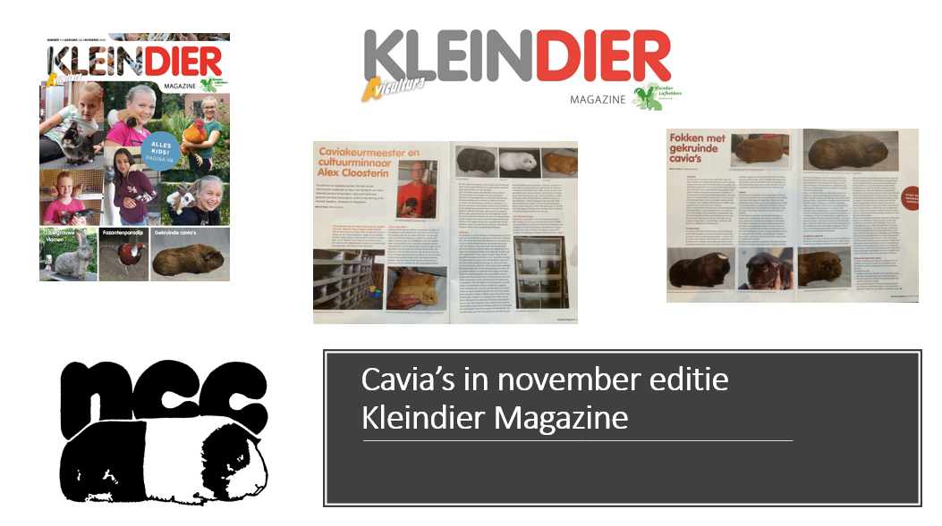 Cavia’s in november editie Kleindier Magazine