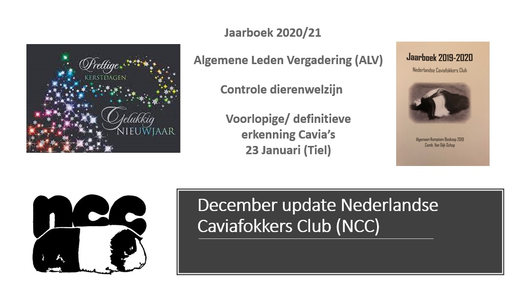 December update NCC Bestuur