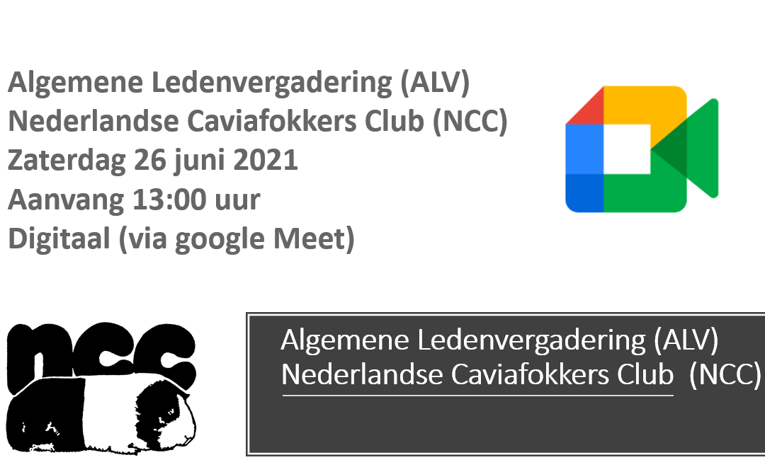 Algemene Ledenvergadering (ALV)