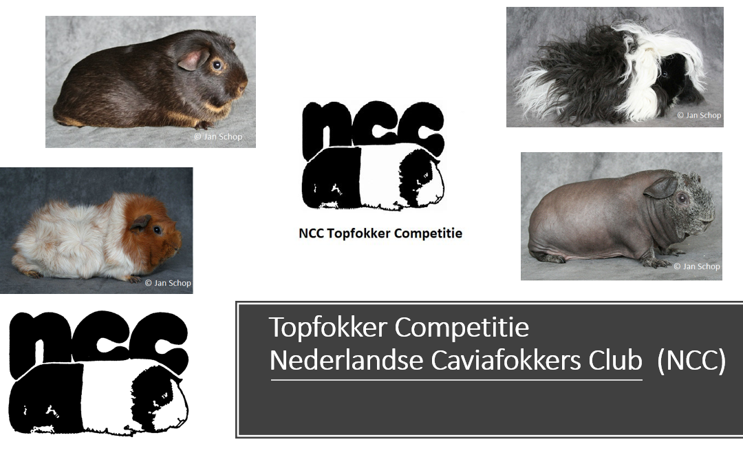 Topfokker Competitie 2021