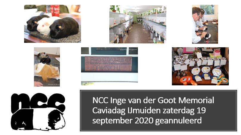 NCC Inge van der Goot Memorial Caviadag IJmuiden Zaterdag 19 september 2020 geannuleerd