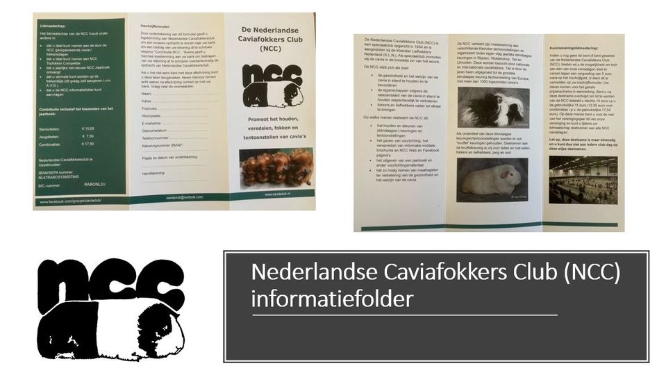 Informatiefolder NCC Beschikbaar