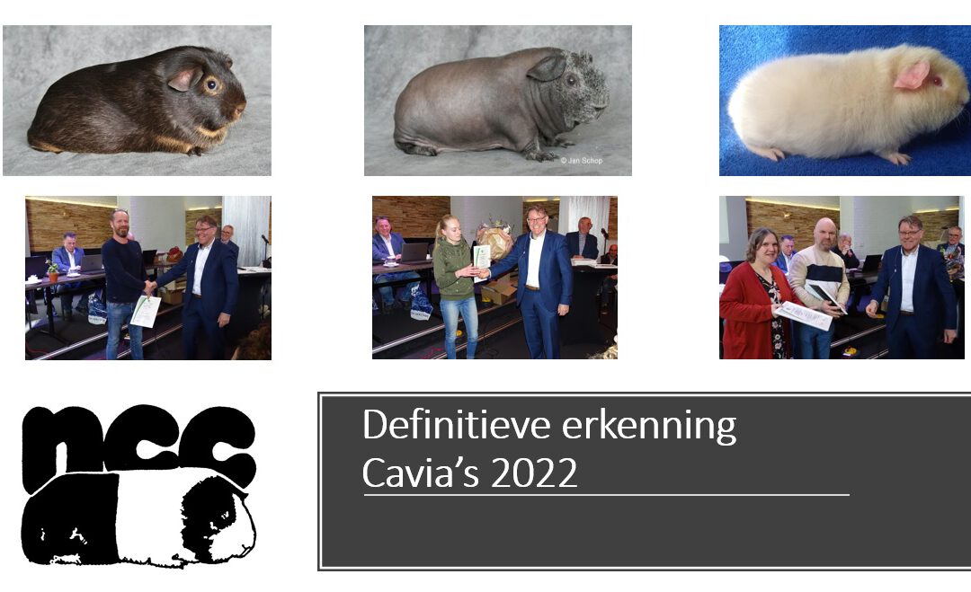 Definitieve erkenning Cavia’s 2022