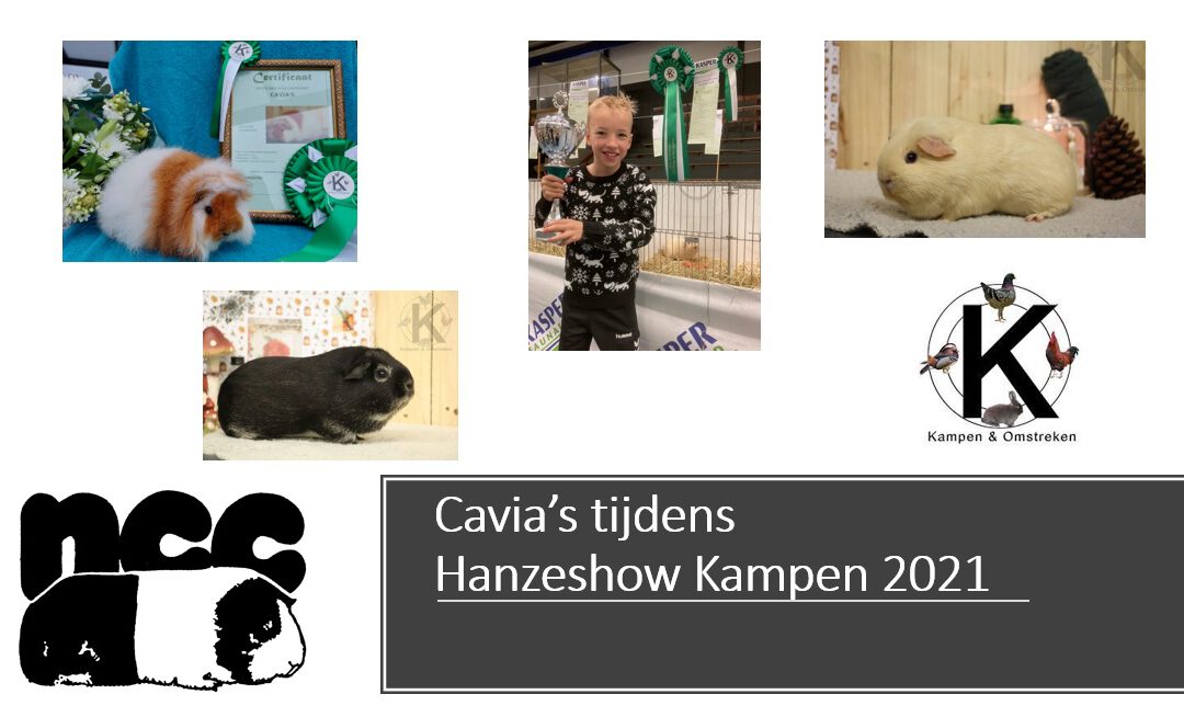 Hanzeshow Kampen was promotie voor de Cavia