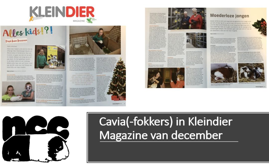 voldoende aandacht voor de cavia in Kleindier Magazine