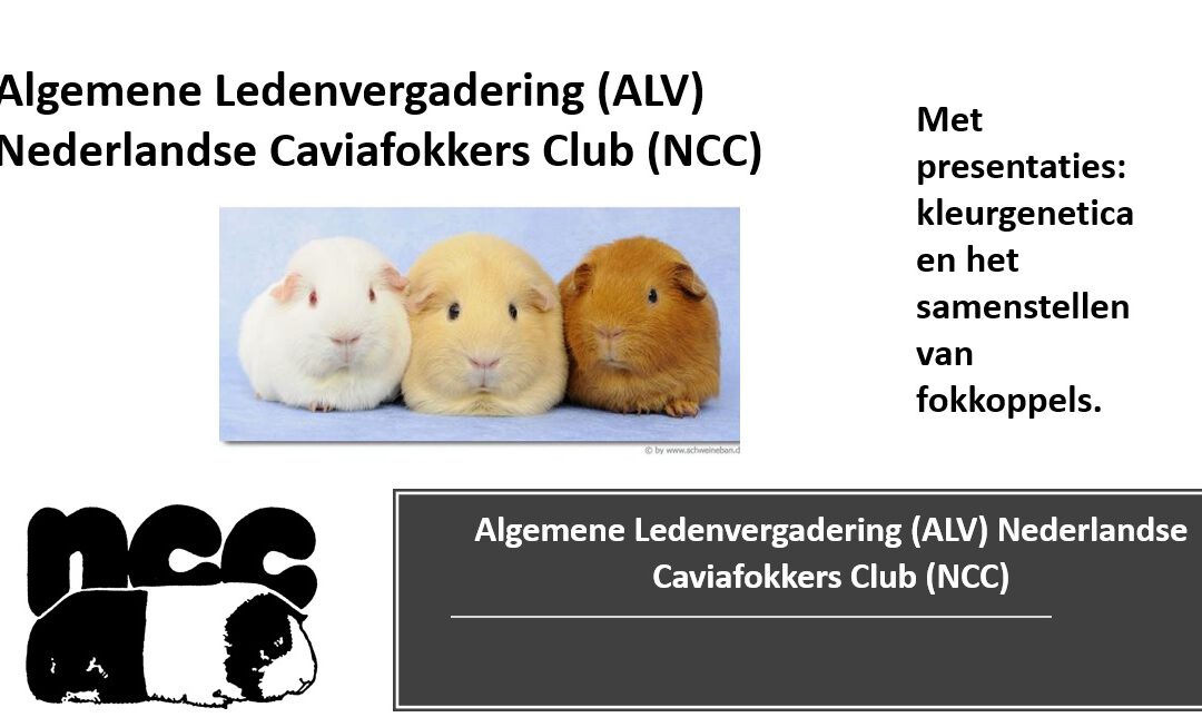 Algemene Ledenvergadering (ALV) 2023