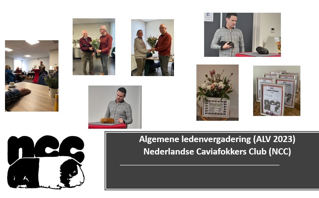 Algemene Ledenvergadering (ALV 2023)