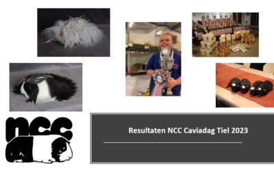 Resultaten NCC Caviadag Tiel 2023 bekend