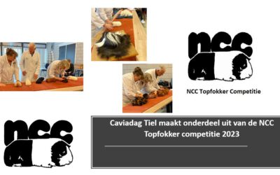 NCC Caviadag Tiel maakt onderdeel uit van de “NCC Topfokker Competitie 2023”