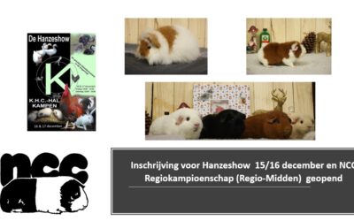 Inschrijving Hanzeshow 15-16 December geopend