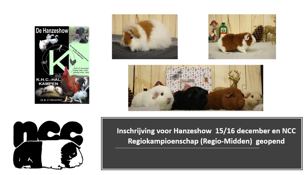 Inschrijving Hanzeshow 15-16 December geopend