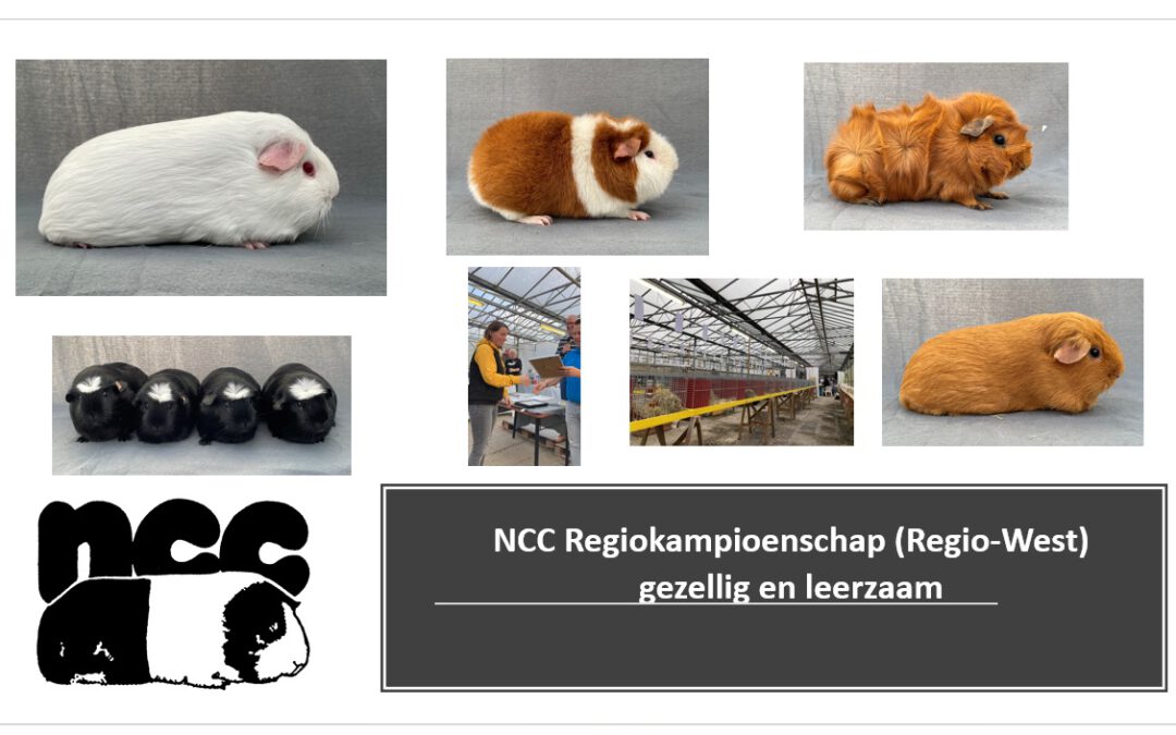 NCC Regiokampioenschap (Regio-West) gezellig en leerzaam