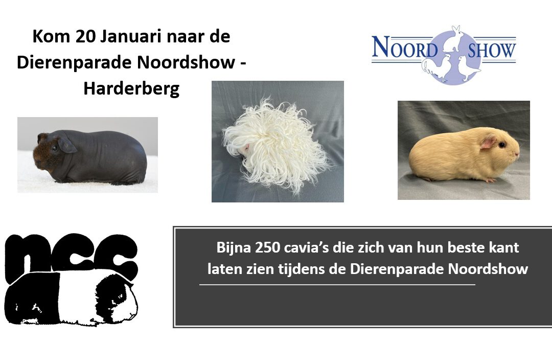 Bezoek de Dierenparade Noordshow – Harderberg