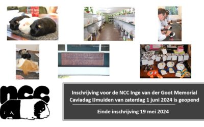 Inschrijving voor de NCC Inge van der Goot Memorial Caviadag IJmuiden van zaterdag 1 juni 2024 is geopend