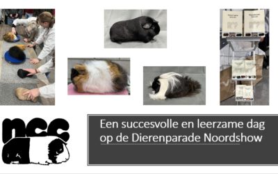 Dierenparade Noordshow 2025