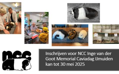 NCC Inge van der Goot Memorial Caviadag in IJmuiden 7 juni 2025