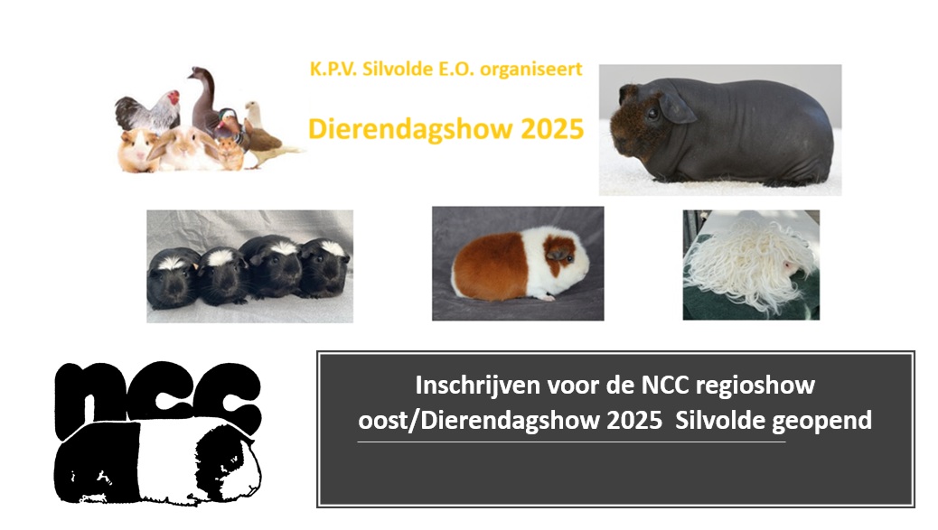 NCC Regioshow-Oost