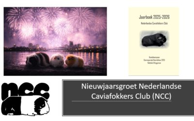 Nieuwjaarsgroet 2026