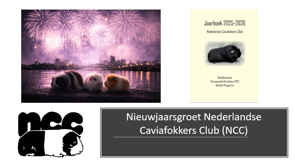 Nieuwjaarsgroet 2026